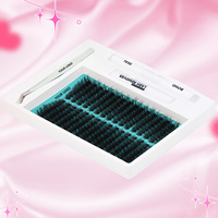 Extensions de cils en grappes avec logo personnalisé, vente en gros, marque privée, cils moelleux 80D, kit de cils en grappes DIY
