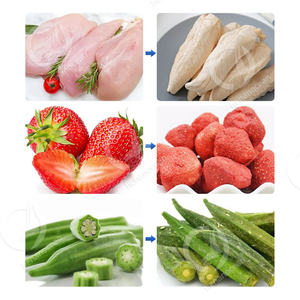 OCEAN Vegetal Melocotón Ajo Carne Lypholizer Large 500kg 1000kg 2000kg Máquina liofilizadora para comida para perros - Product Image 5