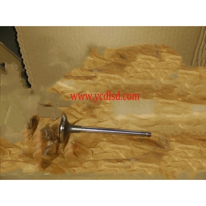 Pièces de rechange pour moteur-soupape d'échappement D30-1003103B avec dieu prix et meilleure qualité - Product Image 1