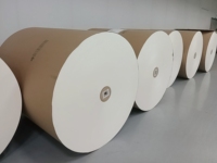 Custom Logo PE Coated Cardboard Sheet Single or Double Layer Parchment Paperboard Food Grade for Tea Cup Packaging Usage