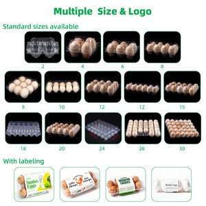 Mẫu miễn phí số lượng lớn Bán buôn giá rẻ trong suốt dùng một lần nhựa trứng thùng carton hộp khay cho 4 6 12 15 30 trứng - Product Image 5