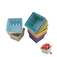 Vassoio per imballaggio colorato biodegradabile pasta di carta cestini di frutta scatola di cartone per frutta alimentare supporto GPM ecologico e biodegradabile
