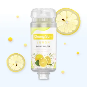 Appareils de traitement de filtre à eau de Corée filtre de douche vitaminé à haute pression bien fait pour une peau douce et lisse