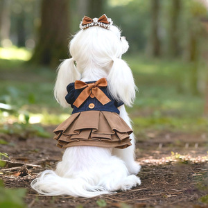 Robe pour chien d'automne, jupe en jean pour maltais, vêtements pour petits chiens, ours, animaux de compagnie - Product Image 1