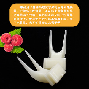 <b>Bird</b> <b>Feeder</b> Plastic Rectangle Reusable Fruit Fork For Budgie Cockatiel Parrot Small <b>Large</b> Size <b>Bird</b> Supplies - Product Image 5