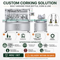 Machine à boucher les bouteilles de vin à double tête personnalisée ZXSMART pour l'intégration automatique des lignes d'embouteillage et d'étiquetage
