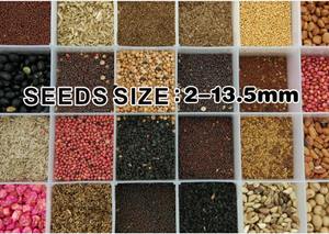 Sembradora de Cebolla, Zanahoria, Puerro y Ajo |   Máquina para Plantar y Sembrar Ajo |   Plantadora de Ajo Seco para Ajo Orgánico - Product Image 6