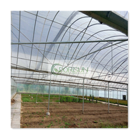 Dorisun Serre agricole à travées multiples Serre à film tunnel en poly avec système hydroponique