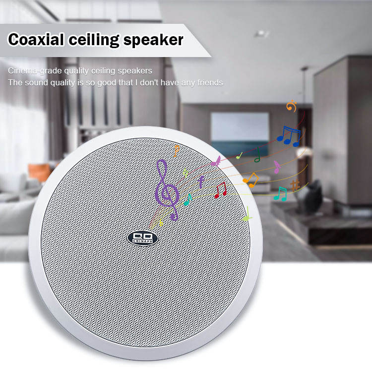 Qqchinapa PA System Inch Ceiling Speaker for Offices