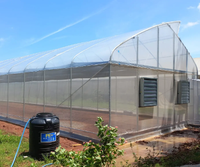 Serre hydroponique tropicale à prix réduit, grande taille, à toit en dents de scie, avec structure en acier, contrôle climatique et installation facile pour la culture de tomates