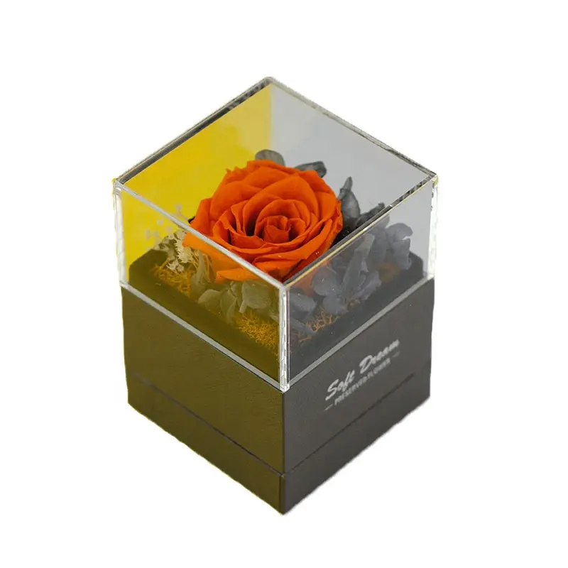 Coffret cadeau exquis Soft Dream Red Rose Idéal pour la Saint-Valentin sur les plateformes de commerce électronique