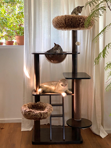 Condominio Moderno y Lujoso para Gatos con Árbol Rascador de Madera Natural de Alta Calidad para Navidad y Halloween - Product Image 2