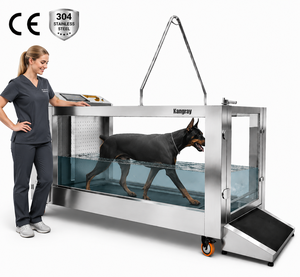 Cinta de correr subacuática eléctrica para perros grandes y gatos, para hidroterapia canina en clínicas veterinarias, a la venta - Product Image 1