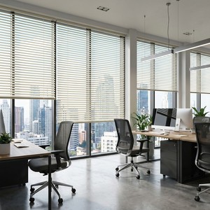 JSL Customized 25MM 1" Cordless Aluminum Venetian <strong>Mini</strong> <strong>Blinds</strong> Horizontal Plain Durable Factory Wholesale Price - Product Image 5