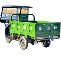 Tricycles électriques de cargaison de cabine fermée bleue de la 60V 1000W avec la capacité de charge de 500kg pour la ferme