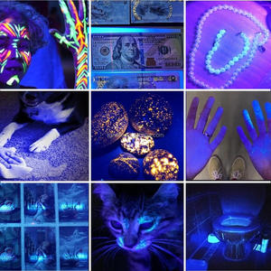 Linterna UV Recargable Zoom 365/395nm, Luz Negra para Detectar Orina de Mascotas, Tinea en Gatos y Perros, Escorpiones y Dinero Falso - Product Image 6