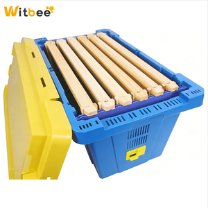 New Witbee Blue Nuc Box for Transporting Bees 5 <b>Frames</b> Locking Lid <b>Plastic</b> Polypropylene for Commercial Beekeeper - Product Image 3