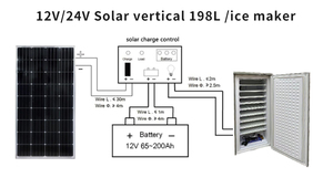 Congelador Solar de 12V/24V y 198L, Máquina de Hielo Solar, Congelador Vertical para el Mercado de Nigeria, Malí, Camerún, Ghana y Chad - Product Image 3