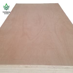 Lámina <span class=keywords><strong>de</strong></span> Madera Contrachapada <span class=keywords><strong>de</strong></span> 3mm 4x8 <span class=keywords><strong>de</strong></span> <span class=keywords><strong>Cedro</strong></span>, Tilo, Abedul, Narra China, Tablero <span class=keywords><strong>de</strong></span> Chapa <span class=keywords><strong>de</strong></span> Madera para Gabinetes y Armarios - Product Image 6