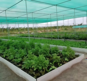 <strong>Green</strong> HDPE Heavy Duty Portable Folding Agricultural Greenhouse Rectangular Shading <strong>Net</strong> Sun Shade <strong>Net</strong> - Product Image 2