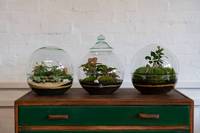 Petit projecteur sur pied Terrarium Mini Terrarium Serre Coffrets cadeaux pour femmes Terrarium pour plantes