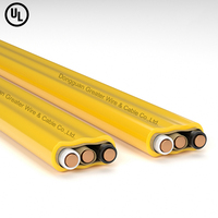 Kabel Bangunan Tembaga American Standard 12/2 12/3 10/3 10/2 Awg UL719 NM-B 14/2 12/2 Bersertifikasi UL USA Kabel Listrik NM-B