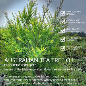 5KG Australian Tea Tree Essential Oil 100% Pure and Natural Raw Tea Tree Oil for Skin <b>Care</b> <b>Hair</b> <b>Care</b> - Product Image 2