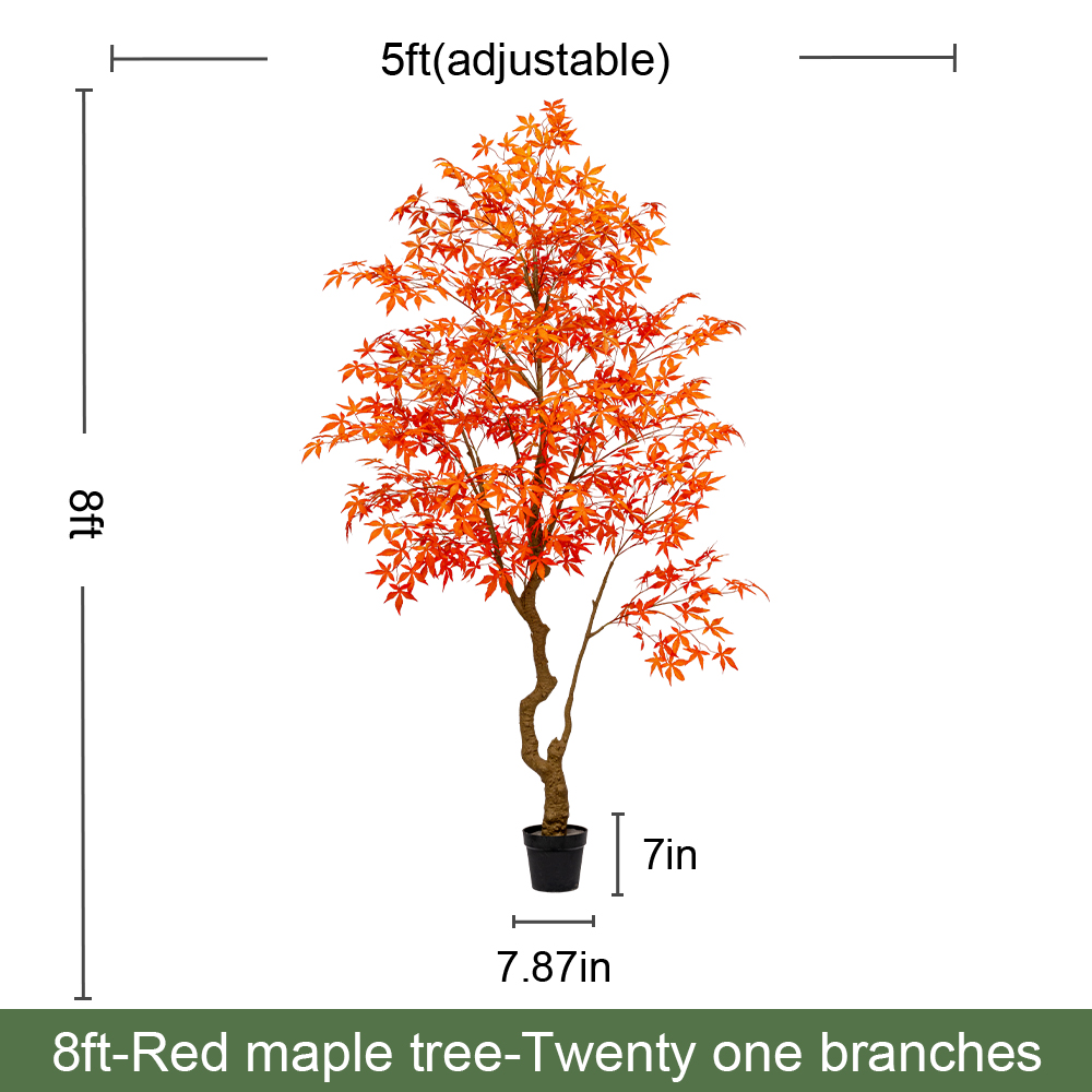 250 cm/8 pieds orange