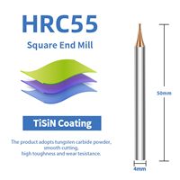 RUIMENG 0.2mm-0.9mm Micro Grain Tungsten Carbide Flat End Mill Titanium Coated 2 Flutes Alat Pemotong CNC 3mm Ujung Pemotong 3mm