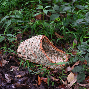 Nid pour hamster tissé à la main en paille, jouet à mâcher en herbe pour hamster, utilisation été et hiver - Product Image 2