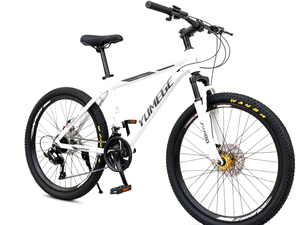 Bicicletta Mountain Bike per Adulti con Telaio in Lega di Alluminio Personalizzabile con il Tuo Logo, 26 Pollici, 21 Velocità, Freno a Disco e Forcella Ammortizzata - Product Image 6