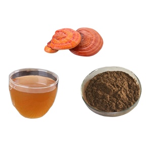 Hữu cơ chế độ ăn uống bổ sung Reishi Nấm chiết xuất bột Reishi Beta Glucan - Product Image 6