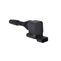 Car Engine Parts 07P905110B for Bentley Bentayga Continental Ignition Coil