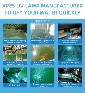 Xeps Chất lượng cao <span class=keywords><strong>UV</strong></span> khử trùng đèn cho nước - Product Image 6