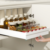 DAYOOH Étagère coulissante extensible pour armoire de cuisine, tiroir de rangement en plastique robuste pour épices