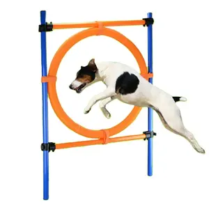 Equipo de práctica para perros Aro Salto Agilidad Neumático para perros