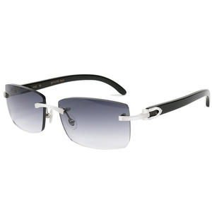 उच्च अंत व्यवसाय शैली सींग पैटर्न शुद्ध टाइटेनियम रिम्लेस धूप का चश्मा लालित्य दिखाने के लिए फैशनेबल बहुमुखी - Product Image 4