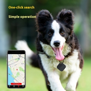 Pencari Kunci Pintar Bluetooth Anti-Hilang untuk Dalam Ruangan GPS IP67 4G Pasokan Lintas Batas Aplikasi Pencari Selfie untuk Ponsel - Product Image 3