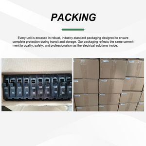 Mini disyuntor en miniatura de alta capacidad 10KA monofásico 1P 15A/100A Mcb enchufe negro con corriente nominal de plástico de cobre - Product Image 4