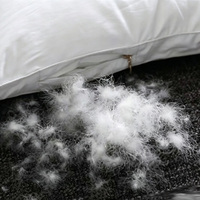 Vente en gros usine – Plumes de canard naturelles lavées, douces et luxueuses (90 % duvet), flexibles, MOQ faible