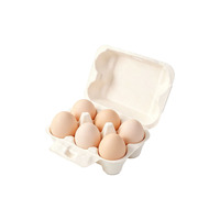 Boîte à œufs en pulpe de bagasse naturelle, 6 compartiments, biodégradable, en fibre de canne à sucre, pour l'emballage d'œufs de poule frais
