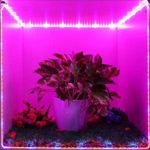 Full Spectrum 5050 LED Grow <b>Light</b> Strips 12V Waterproof Led Grow <b>Light</b> Strip Roll for Home Indoor Succulents Herbs Vegetables - Product Image 5