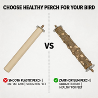 Perchoir en bois d'ash épineux naturel pour oiseaux, jouet à mâcher pour aiguiser le bec, pour cage de perroquet et de myna