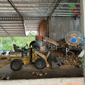 Vietnamese Wholesalers Supply Cheap Rate Natural Raw Coconut <b>Fiber</b> for Furniture & Handicrafts Direct From Mr.Huy +84916930070 - Product Image 1