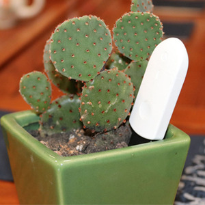 Cảm Biến Tưới Vườn Chất Lượng Cao Bộ Dụng Cụ Kiểm Tra Khi Nào Cần Tưới Nước Cảm Biến Tưới Vườn - Product Image 4