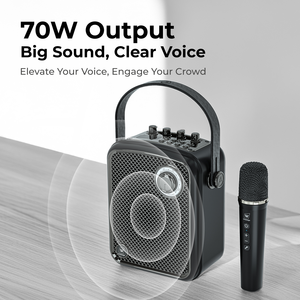 Winbridge S100 Kablosuz Taşınabilir PA Hoparlör, Enstrümanlar İçin Net Ses - Product Image 4