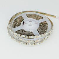 Bande lumineuse LED flexible basse tension 2835 étanche 120 LED 12/24V ABS IP65 Éclairage intérieur/extérieur CRI 90 Dimmable 50000h