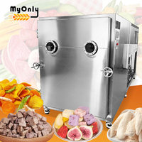 Lyophilisateur Industriel MY 100kg 250kg pour Lait, Légumes et Aliments - Machine de Séchage par Congélation Automatique Sous Vide