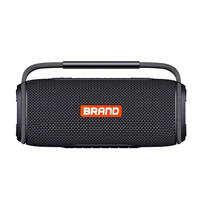 Haut-parleur d'extérieur étanche haute puissance, haut-parleur bluetooth portable 20w sans fil
