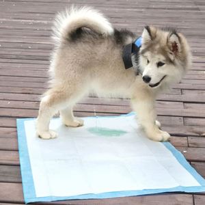 Heavy Absorbency <b>Waterproof</b> Dog Pee Training <b>Pads</b> Eco-Friendly Disposable Pet <b>Pad</b> - Product Image 3